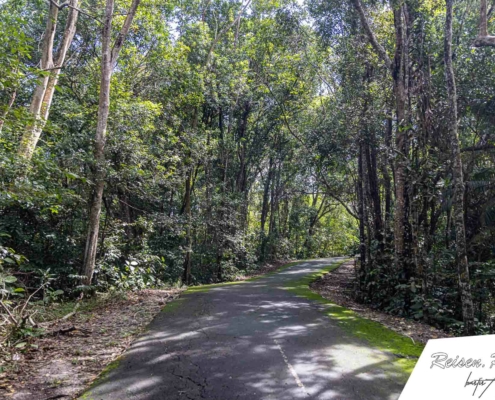 Wanderung durch den Bukit Shahbandar Forest Recreation Park