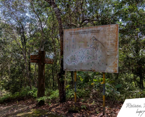 Wanderung durch den Bukit Shahbandar Forest Recreation Park